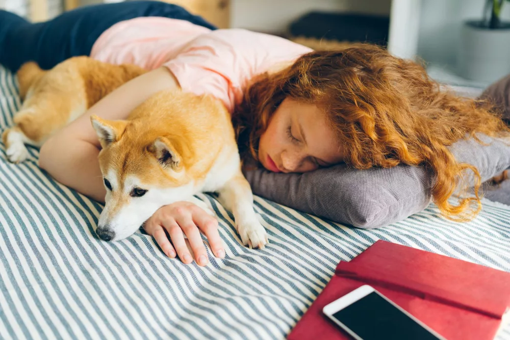 Recognizing Stress and Anxiety in Pets and Helping Them Cope
