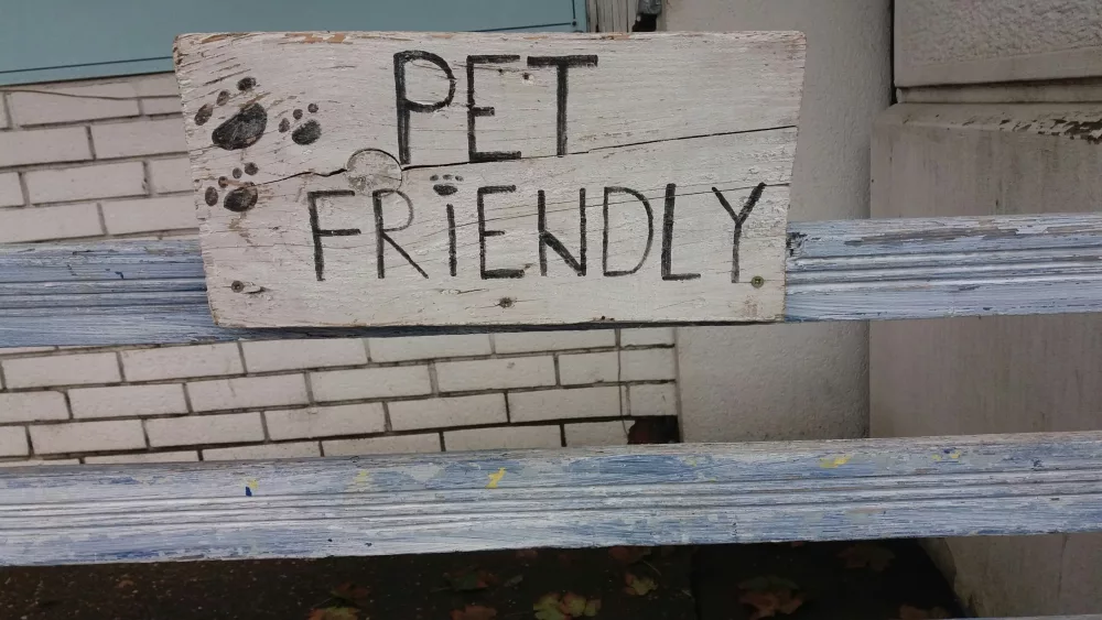How to Pet-Proof Your Home for Safety and Comfort