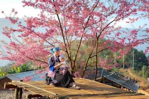 Bamboo Clothes: More Than Just a Trendy Textile?