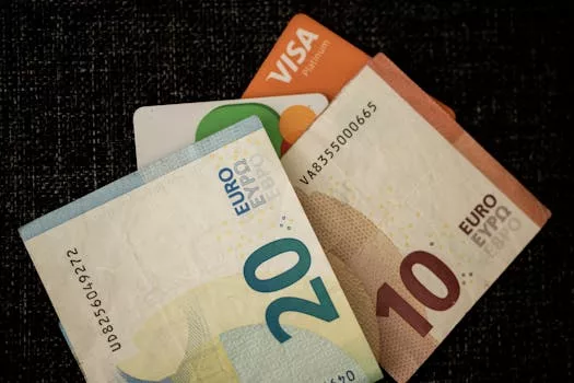 Beyond the Borders: Is the Single Euro Payment Area (SEPA) Truly a Unified Financial Landscape?
