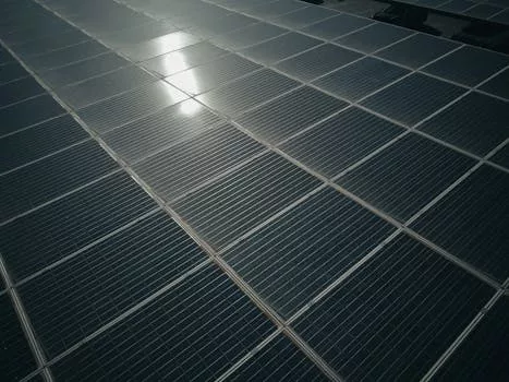 Unpacking “Sustain”: More Than Just a Buzzword, It’s a Blueprint for Our Future